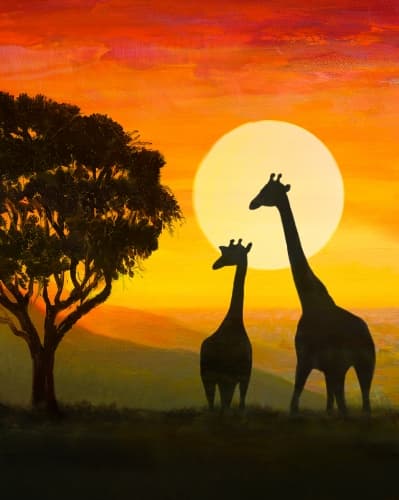 Safari Wild