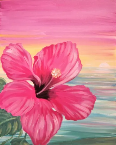 Hello Hibiscus
