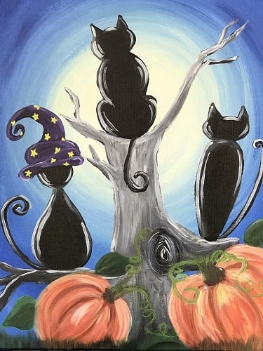 Cat Conspiracy
