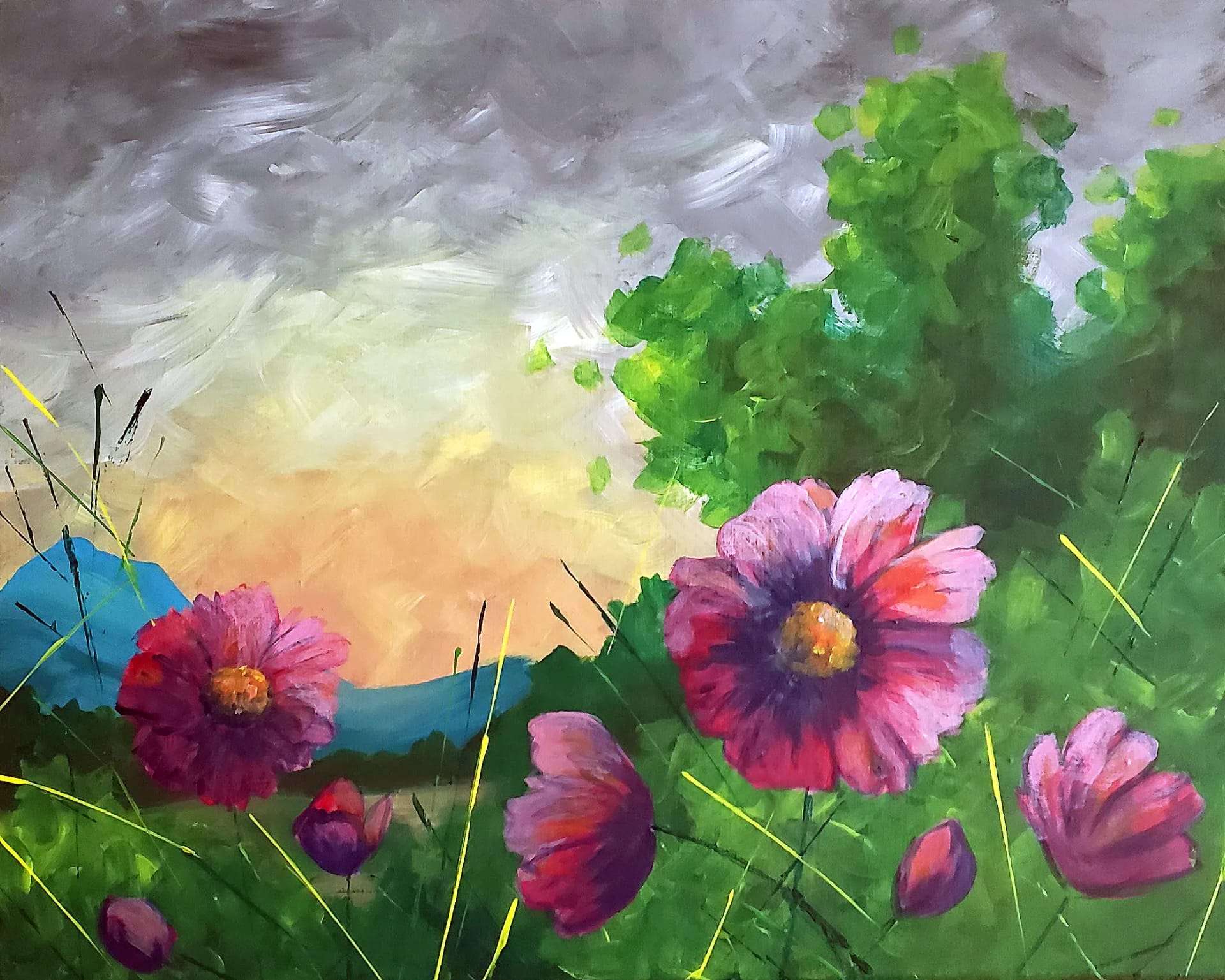 Spring Mountain Meadow Sunset