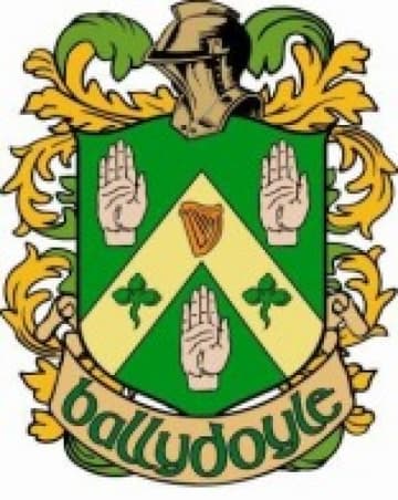Ballydoyle Irish Pub & Restaurant- Downers Grove - PaintNite event location
