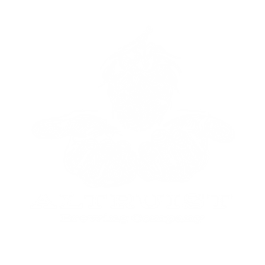 Altruist Brewing Company , Sturbridge, MA | Yaymaker