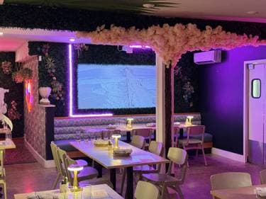 BuenoMalo , ANDOVER, MA | Yaymaker