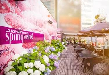 Spring Sushi Toronto