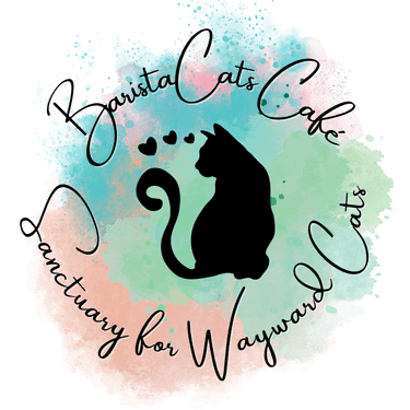 BaristaCats Cafe & Sanctuary , WHITEWATER, WI | Yaymaker