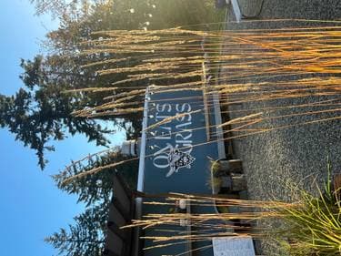 Ox Eats Grass Eatery , Salt Spring Island, BC | Yaymaker