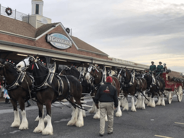 A photo of a Yaymaker Venue called O'Gannigans Irish Pub located in Prince Frederick, MD