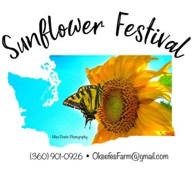 O Keefe Sunflower Farm