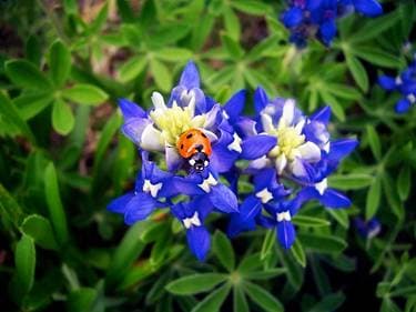 Branham Home (Private) , Round Rock, TX | Yaymaker