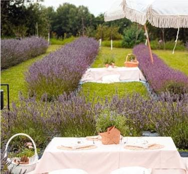 McDermott Country Meadow , Little Britain, ON | Yaymaker