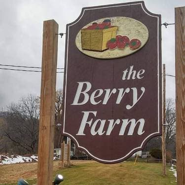 The Greenhouse Cidery , Chatham, NY | Yaymaker