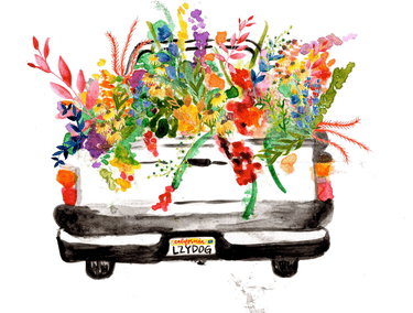 Lazy Dog Restaurant and Bar , Cupertino, CA | Yaymaker