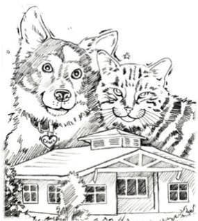 Calvert Animal Welfare League , prince Frederick, MD | Yaymaker