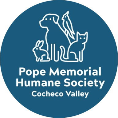 Pope Memorial Humane Society - Cocheco Valley - PaintNite event location