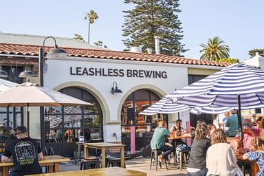 Leashless Brewing - PaintNite event location