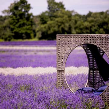 Avalon Lavender Farm - PaintNite event location